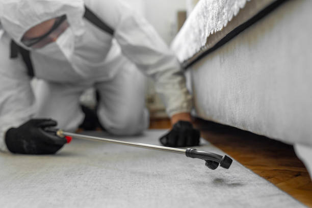 Professional Ant Control technician working in Hicksville, NY