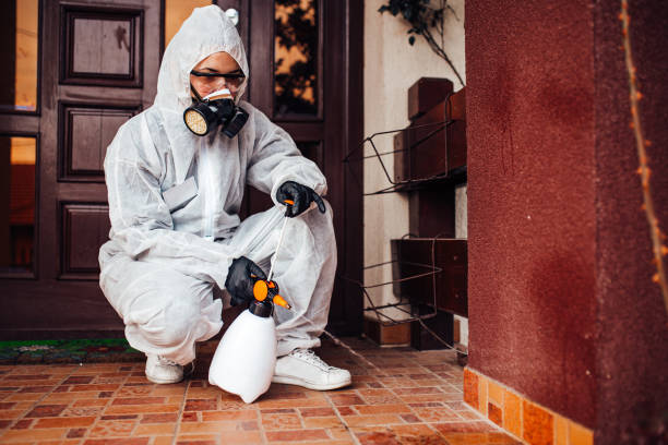 Reliable Ant Control contractor in Hicksville, NY by Nex Pest Control