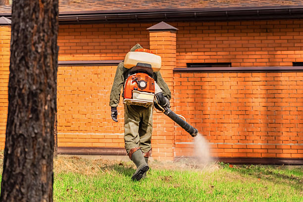Trusted Bed Bug Control service in Hicksville, NY - Nex Pest Control
